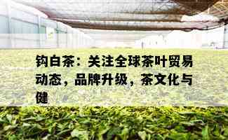 钩白茶：关注全球茶叶贸易动态，品牌升级，茶文化与健