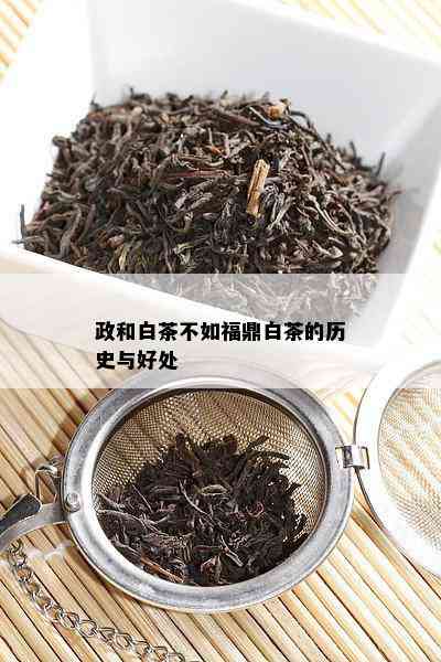 政和白茶不如福鼎白茶的历史与好处