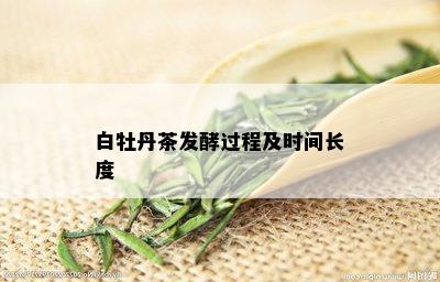 白牡丹茶发酵过程及时间长度