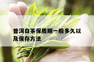 普洱白茶保质期一般多久以及保存方法