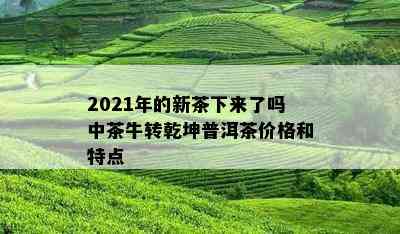 2021年的新茶下来了吗中茶牛转乾坤普洱茶价格和特点