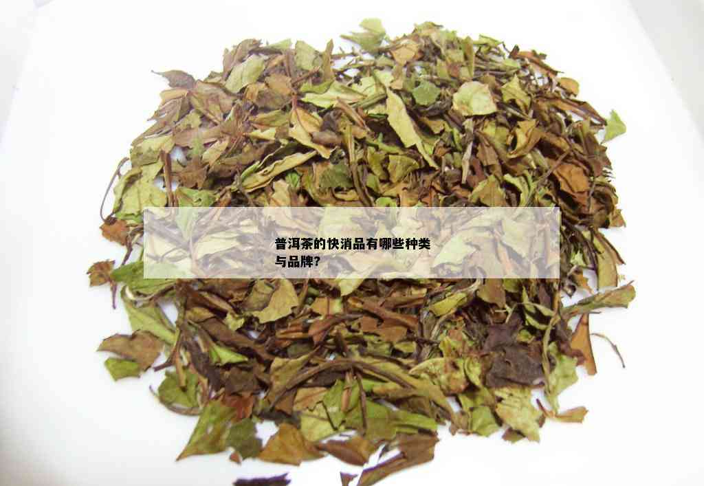 普洱茶的快消品有哪些种类与品牌?