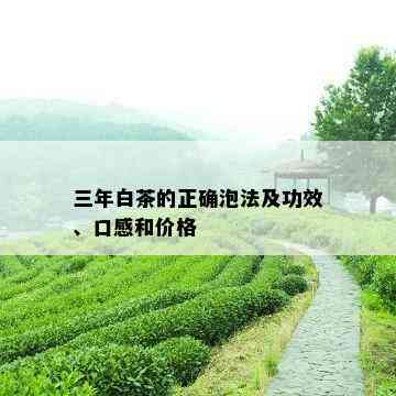 三年白茶的正确泡法及功效、口感和价格