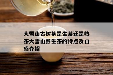 大雪山古树茶是生茶还是熟茶大雪山野生茶的特点及口感介绍