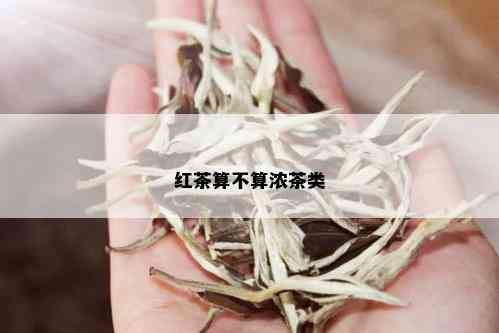 红茶算不算浓茶类