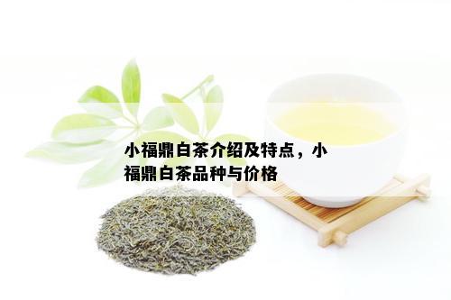 小福鼎白茶介绍及特点，小福鼎白茶品种与价格