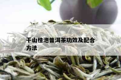 干山楂泡普洱茶功效及配合方法