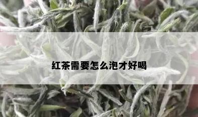 红茶需要怎么泡才好喝