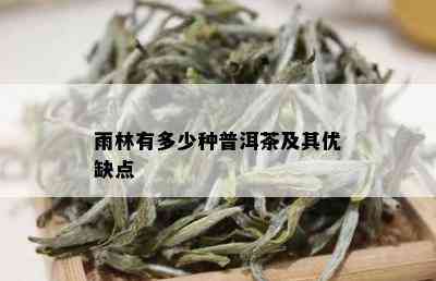 雨林有多少种普洱茶及其优缺点