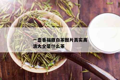 一壶香福鼎白茶图片真实高清大全是什么茶