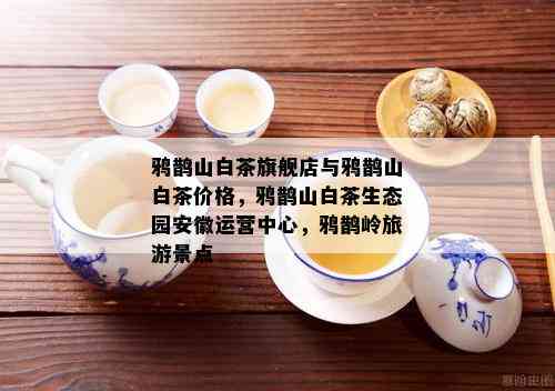 鸦鹊山白茶旗舰店与鸦鹊山白茶价格，鸦鹊山白茶生态园安徽运营中心，鸦鹊岭旅游景点