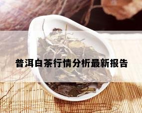 普洱白茶行情分析最新报告