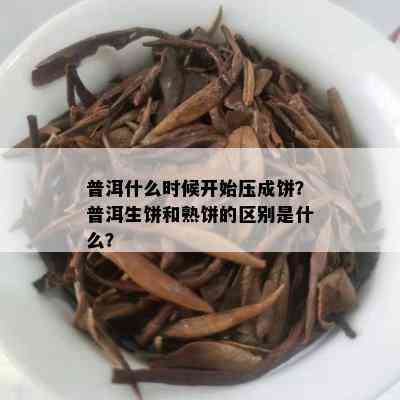 普洱什么时候开始压成饼？普洱生饼和熟饼的区别是什么？