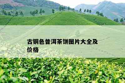 古铜色普洱茶饼图片大全及价格