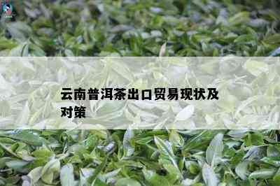 云南普洱茶出口贸易现状及对策