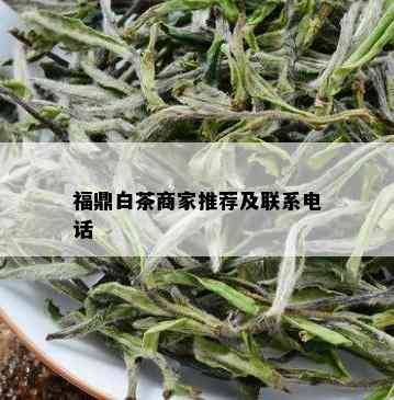 福鼎白茶商家推荐及联系电话