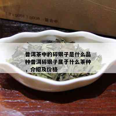 普洱茶中的碎银子是什么品种普洱碎银子属于什么茶种，介绍及价格