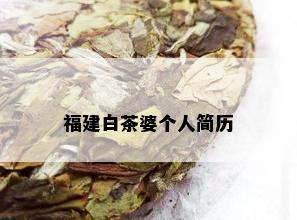 福建白茶婆个人简历