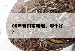 08年普洱茶和，哪个好？