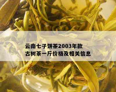 云南七子饼茶2003年款古树茶一斤价格及相关信息