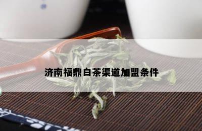 济南福鼎白茶渠道加盟条件