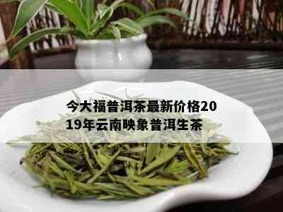 今大福普洱茶最新价格2019年云南映象普洱生茶