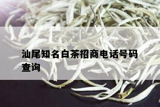 汕尾知名白茶招商电话号码查询