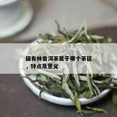 国有林普洱茶属于哪个茶区，特点及意义