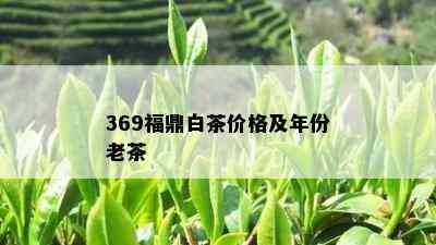 369福鼎白茶价格及年份老茶