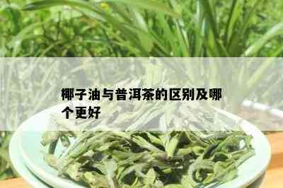 椰子油与普洱茶的区别及哪个更好