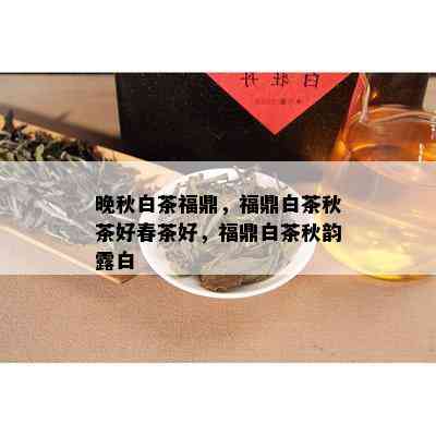 晚秋白茶福鼎，福鼎白茶秋茶好春茶好，福鼎白茶秋韵露白