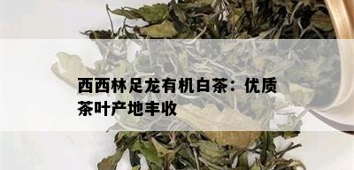 西西林足龙有机白茶：优质茶叶产地丰收