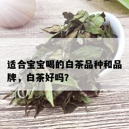 适合宝宝喝的白茶品种和品牌，白茶好吗？