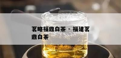 茗略福鼎白茶 - 福建茗鼎白茶