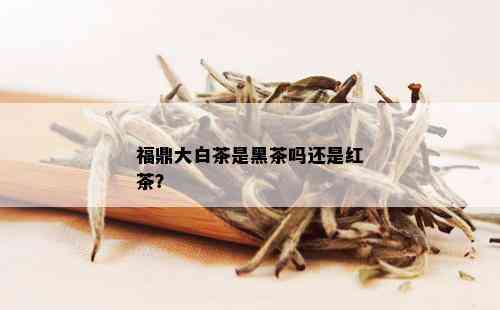 福鼎大白茶是黑茶吗还是红茶？