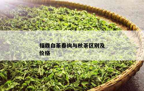 福鼎白茶春绚与秋茶区别及价格