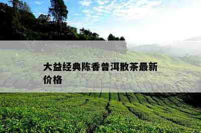 大益经典陈香普洱散茶最新价格