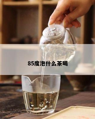 85度泡什么茶喝