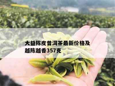 大益陈皮普洱茶最新价格及越陈越香357克