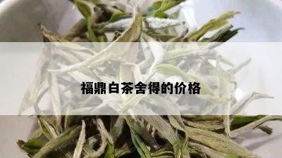 福鼎白茶舍得的价格