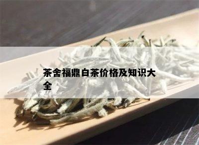 茶舍福鼎白茶价格及知识大全