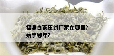 福鼎白茶压饼厂家在哪里？始于哪年？