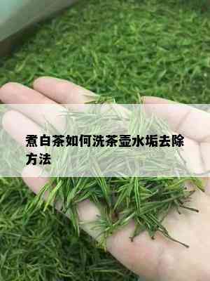 煮白茶如何洗茶壶水垢去除方法