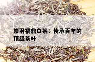 崇羽福鼎白茶：传承百年的顶级茶叶