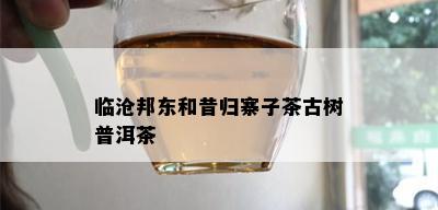 临沧邦东和昔归寨子茶古树普洱茶