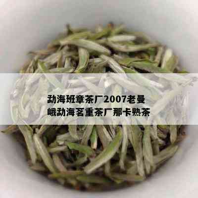 勐海班章茶厂2007老曼峨勐海茗重茶厂那卡熟茶