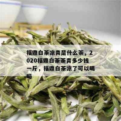 福鼎白茶凉青是什么茶，2020福鼎白茶茶青多少钱一斤，福鼎白茶凉了可以喝吗