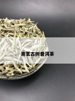 熹茗古树普洱茶