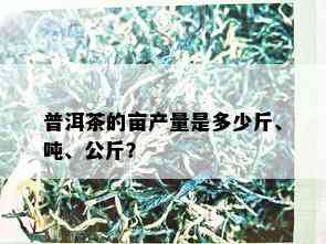 普洱茶的亩产量是多少斤、吨、公斤？