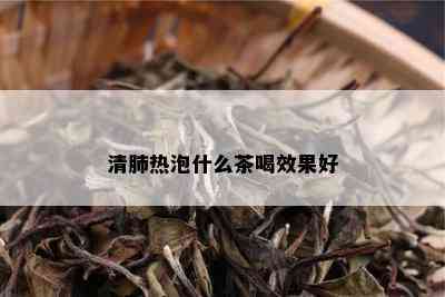 清肺热泡什么茶喝效果好